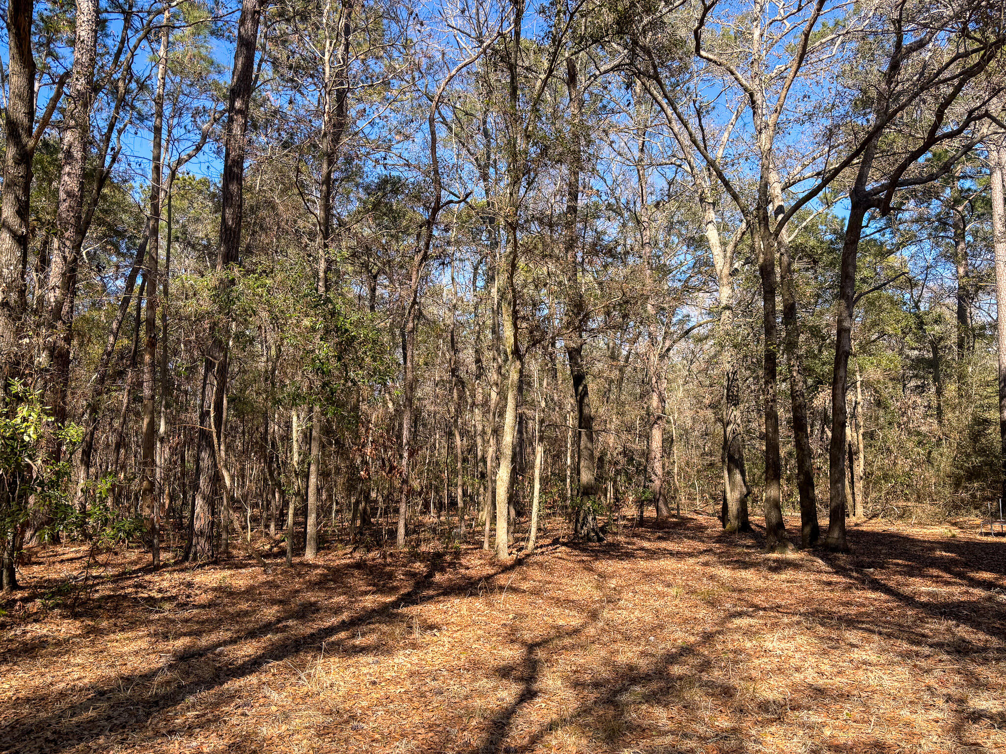 903 Harts Bluff Road