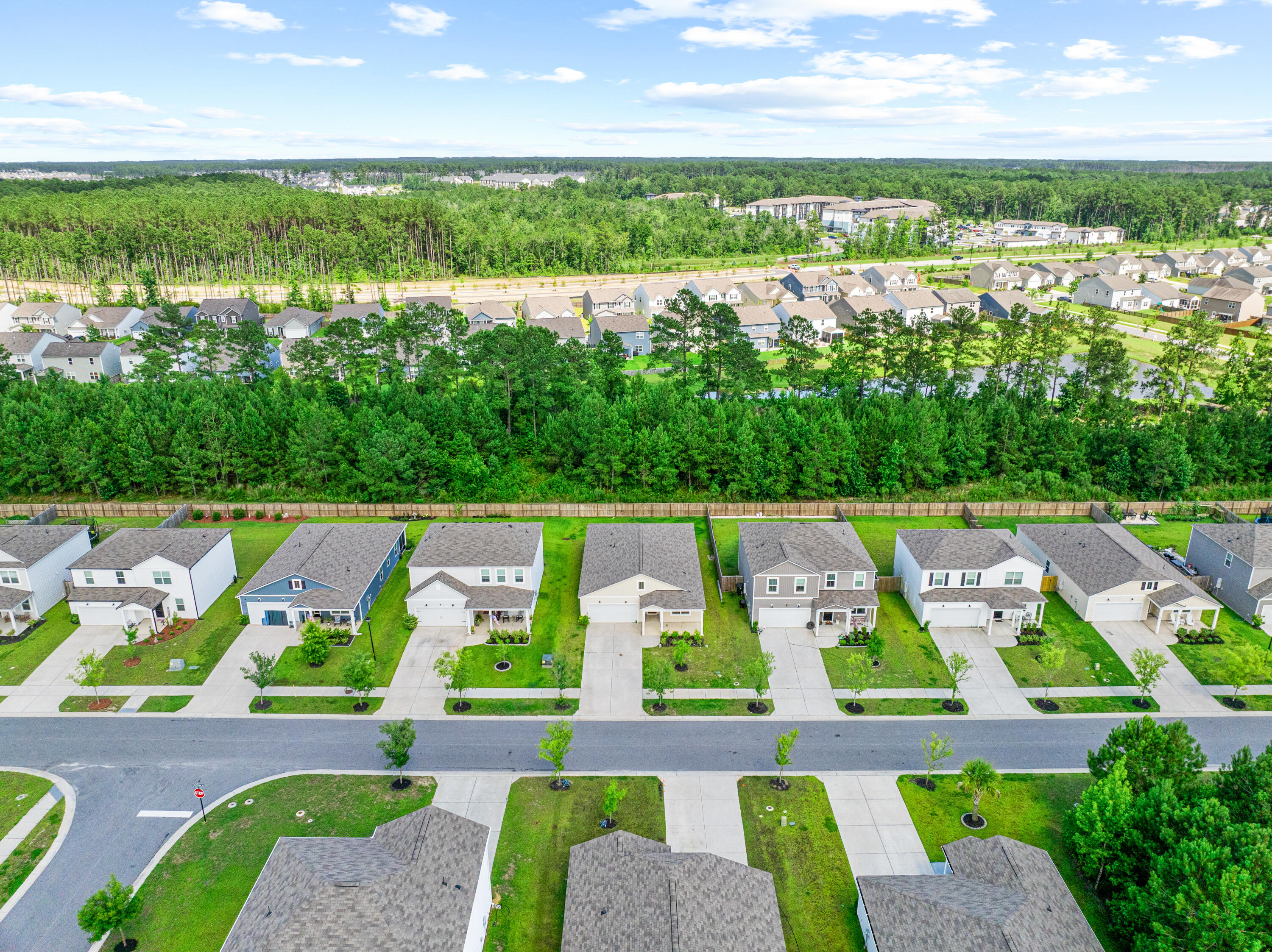 293 W Bradford Pointe Drive