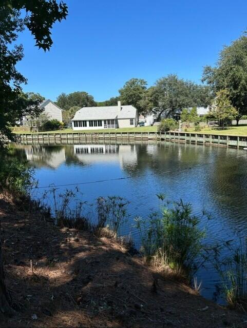 1233 Bridgeport Drive