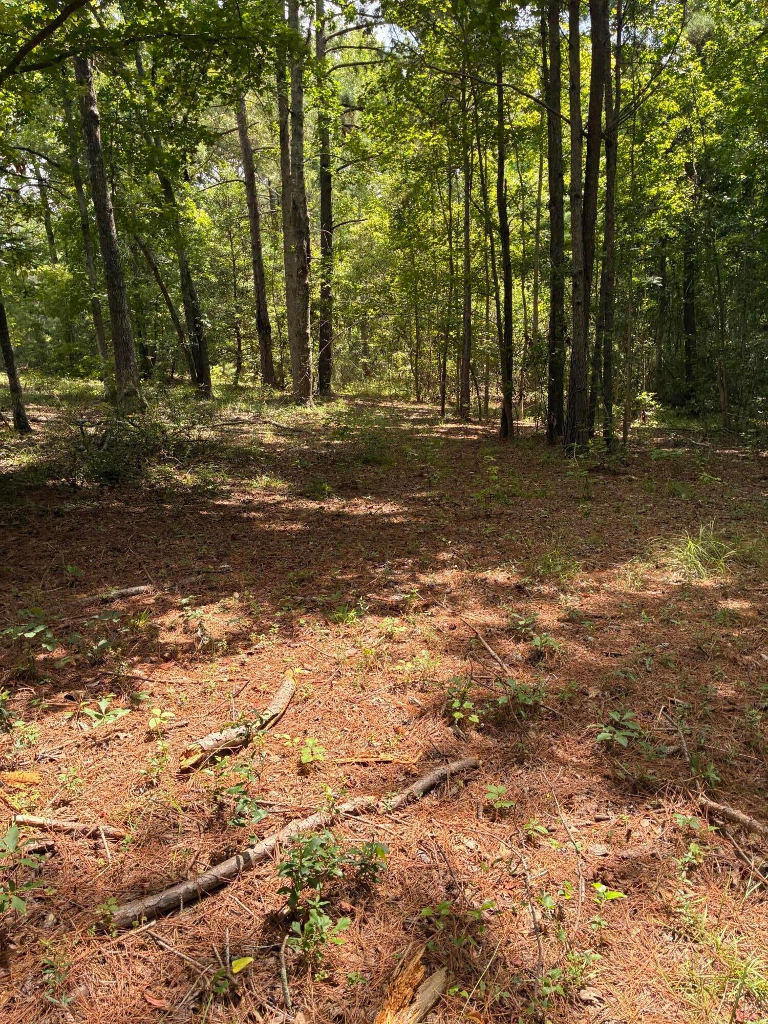 1061 Myrtle Drive, Santee, SC, 29142