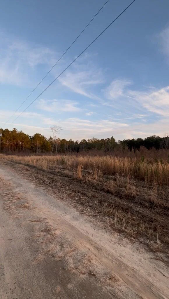 267 Eagle Terrace Trail, Cross, SC, 29436