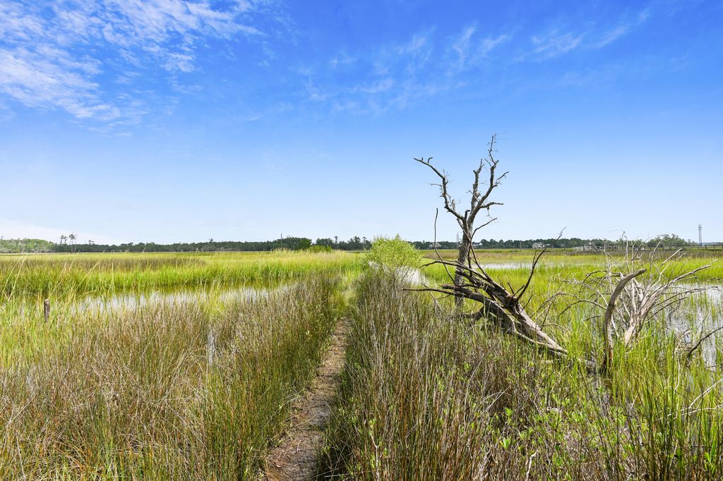 Photo of 1165 Saint Pauls Parrish Lane, Johns Island, SC 29455 (MLS # 25026714)