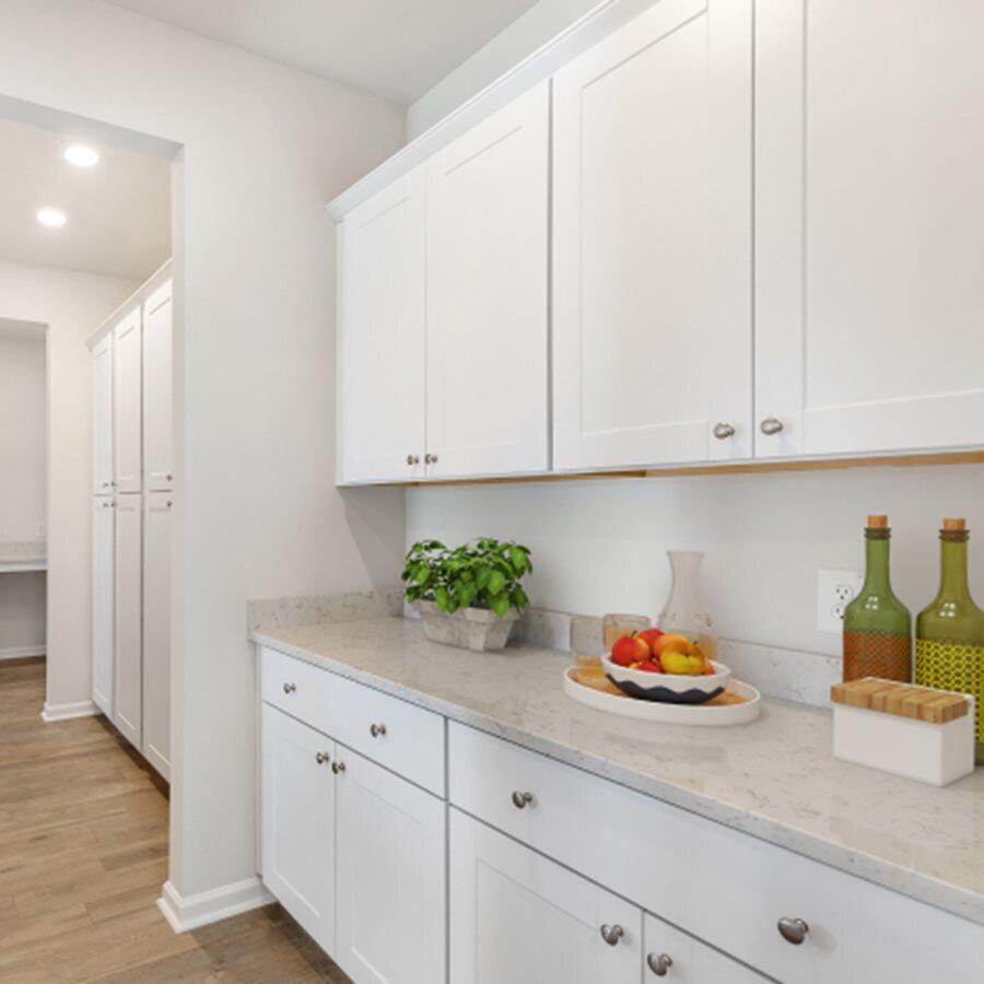 1010 Patagonia Street