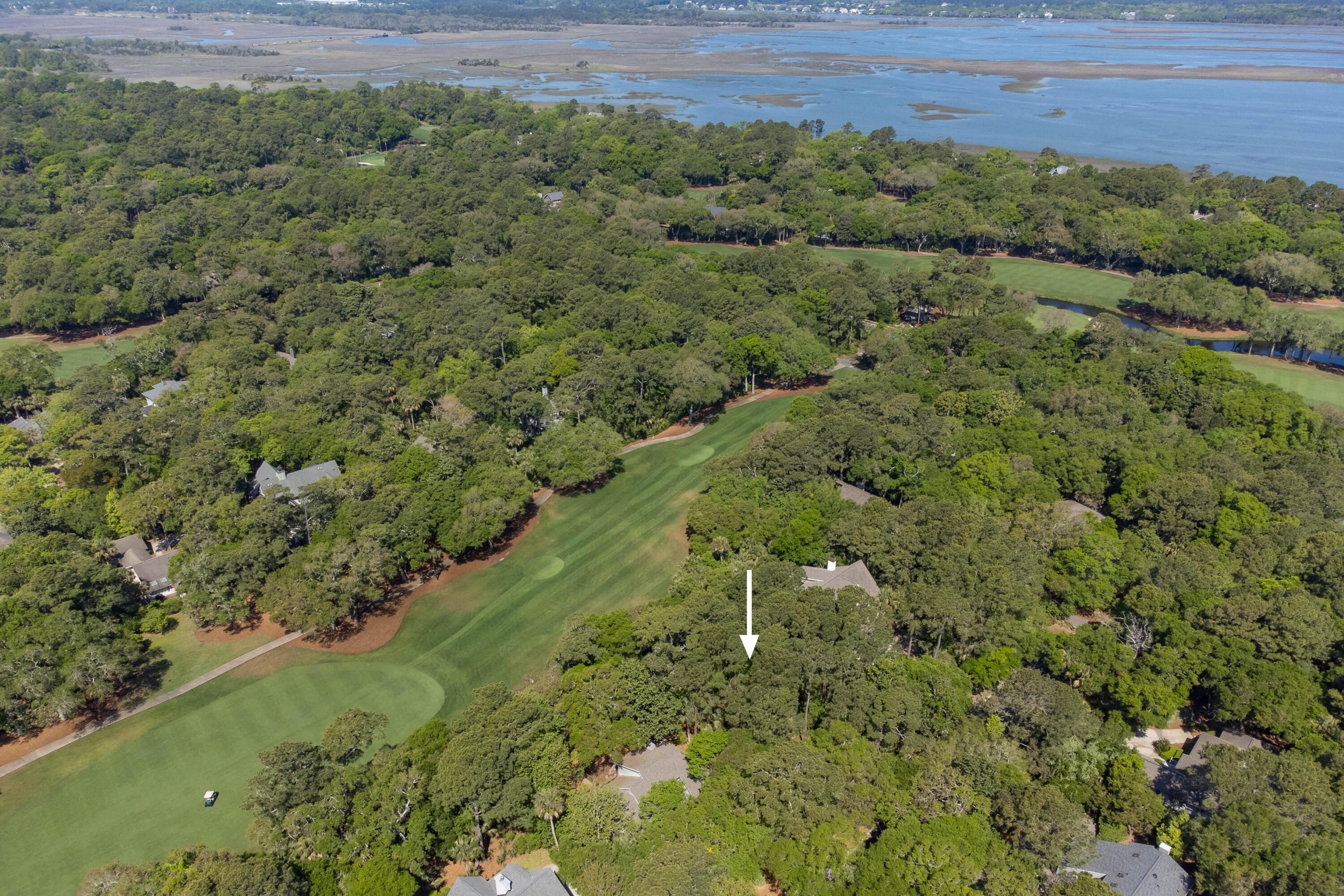 386 Green Winged Teal Road