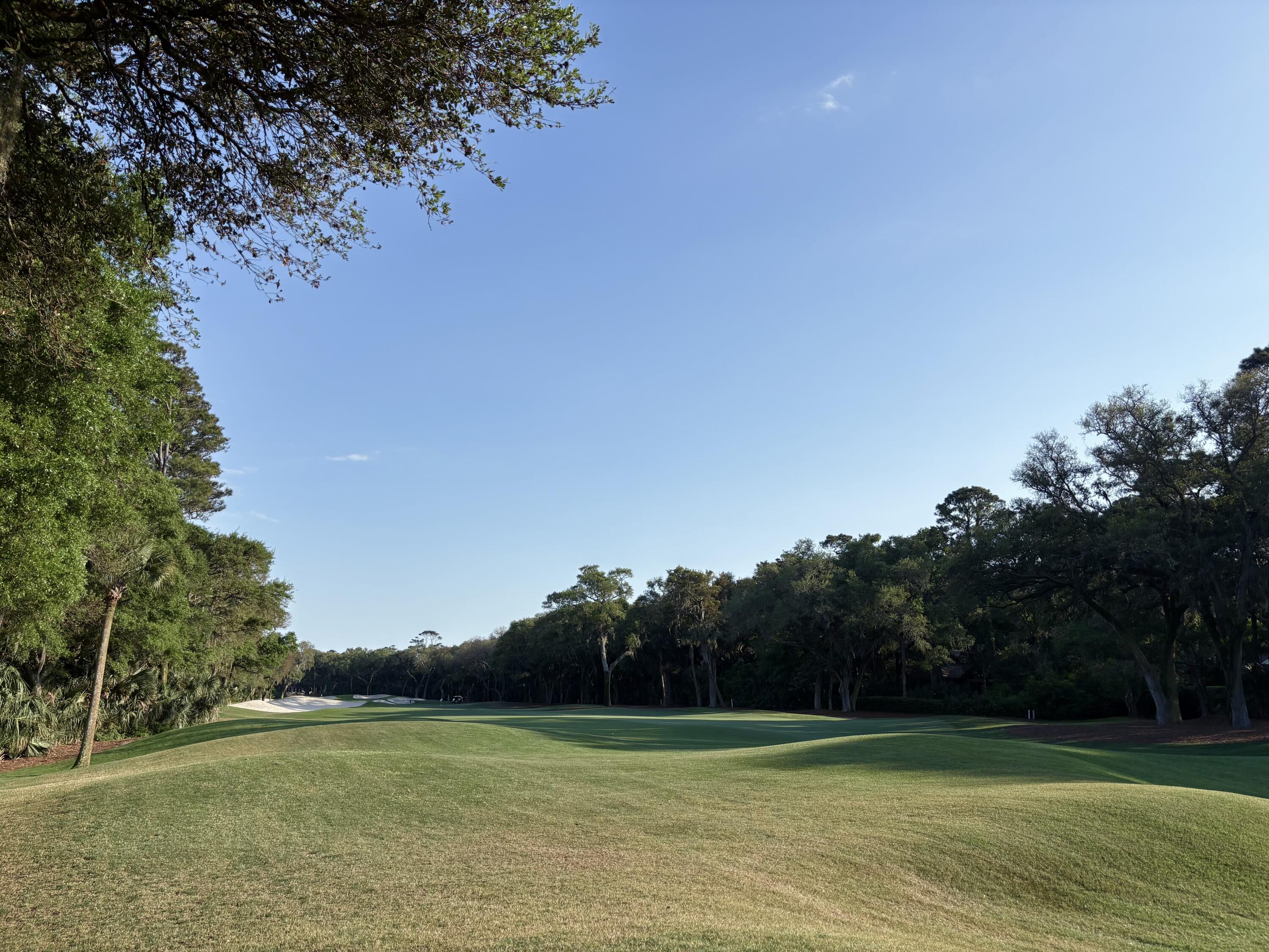 386 Green Winged Teal Road