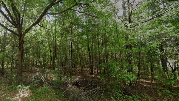 LONG BRANCH RD, GREELEYVILLE, SC 29056 - Image 0b58b3d6cd58e8dc847bef8228e09342/1542280859