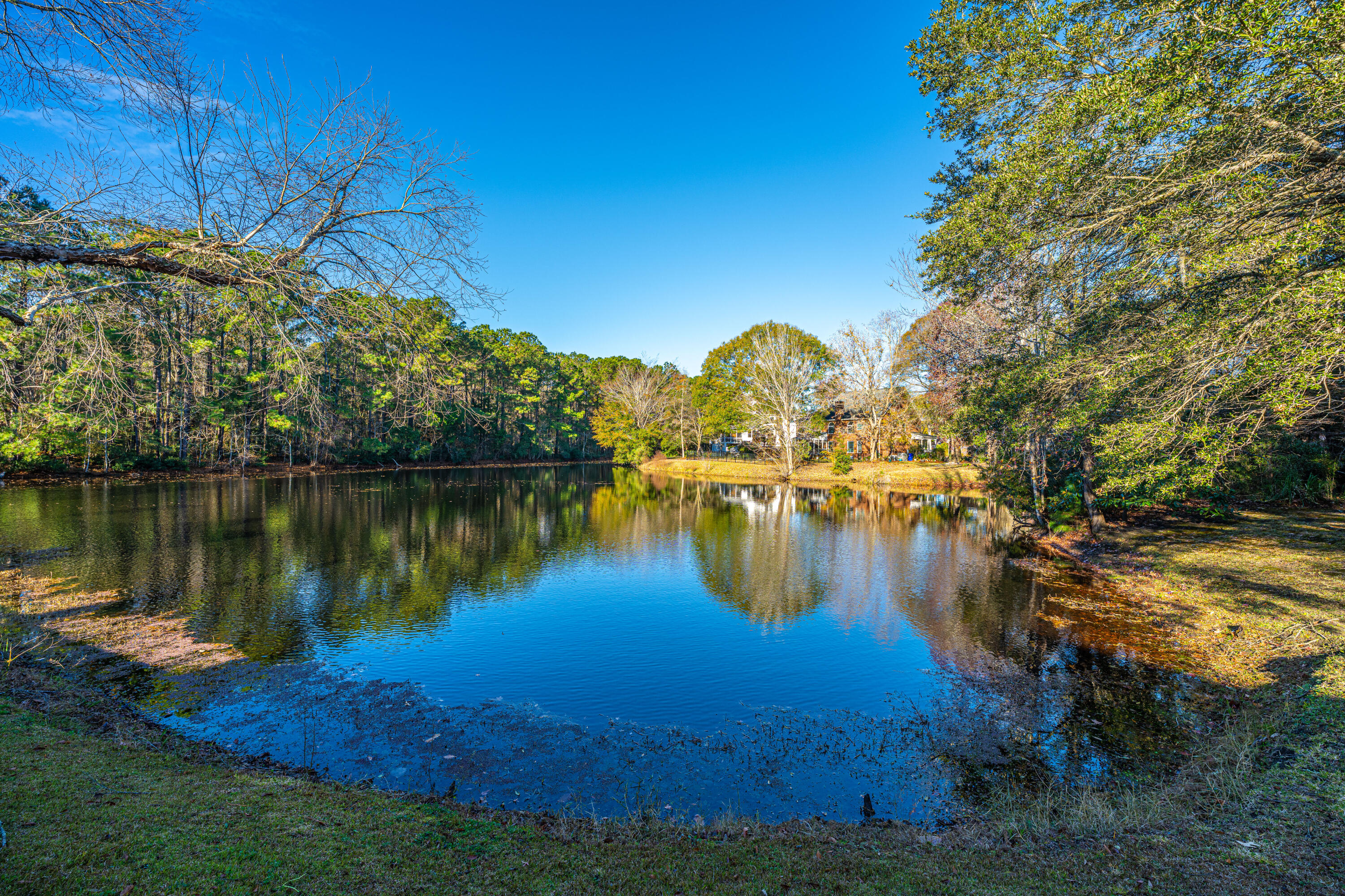 2652 Scarlet Oak Ct Court