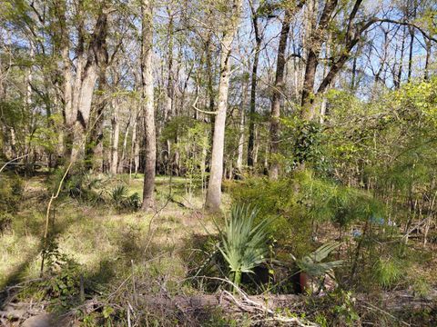 Lot 2 & 3 Gator Cv Ridgeville SC 29472