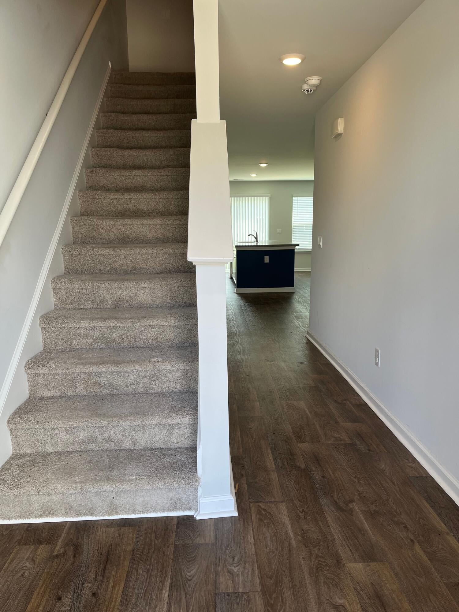 264 Blue Haw Drive