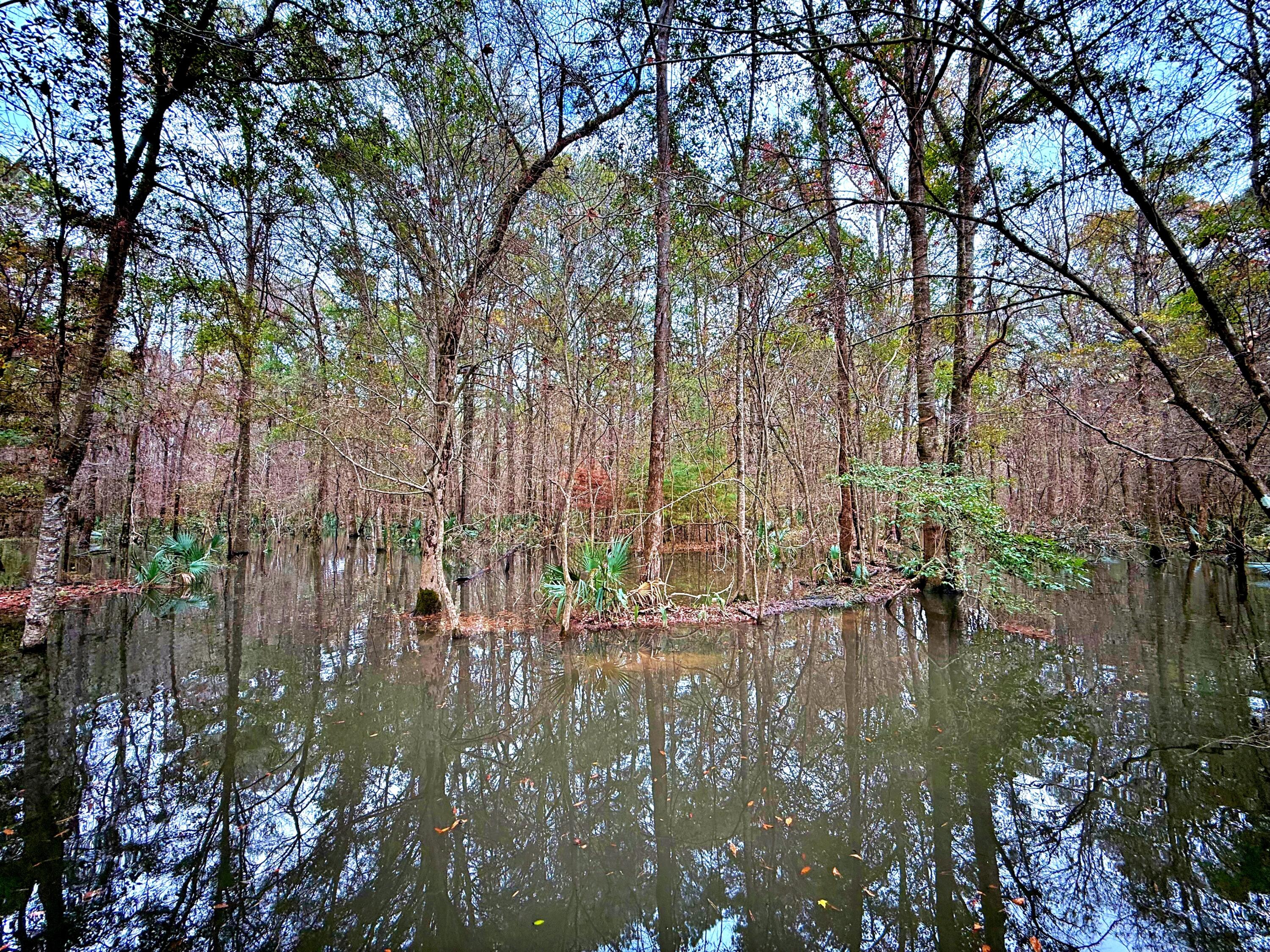 1215 Sandy Run Circle