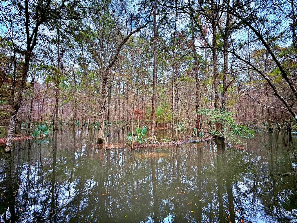 Photo of 1215 Sandy Run Circle, Summerville, SC 29486 (MLS # 25032734)