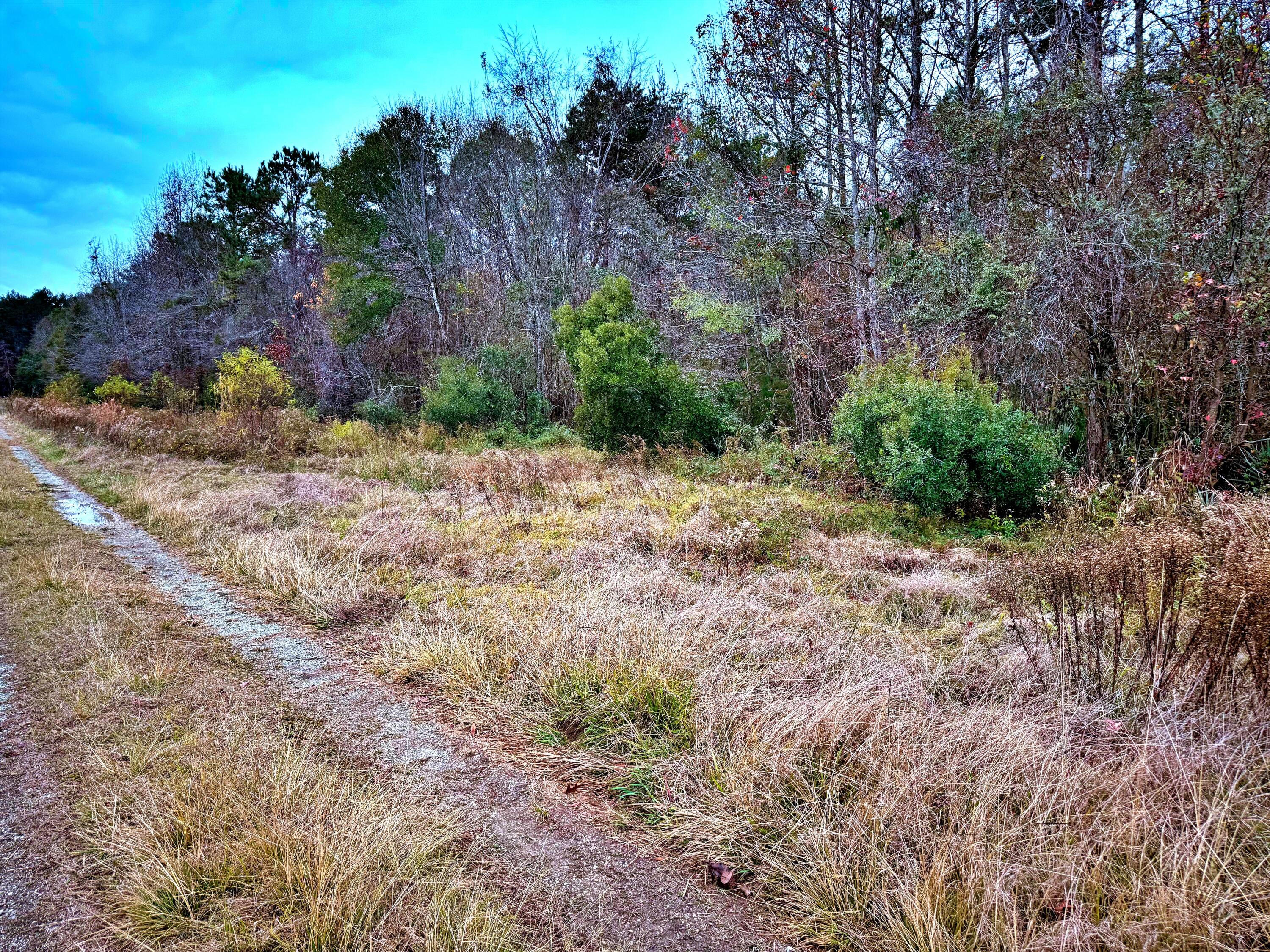 1215 Sandy Run Circle