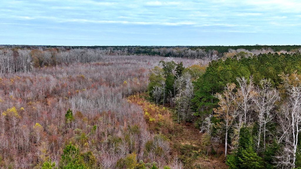 Photo of 1215 Sandy Run Circle, Summerville, SC 29486 (MLS # 25032734)