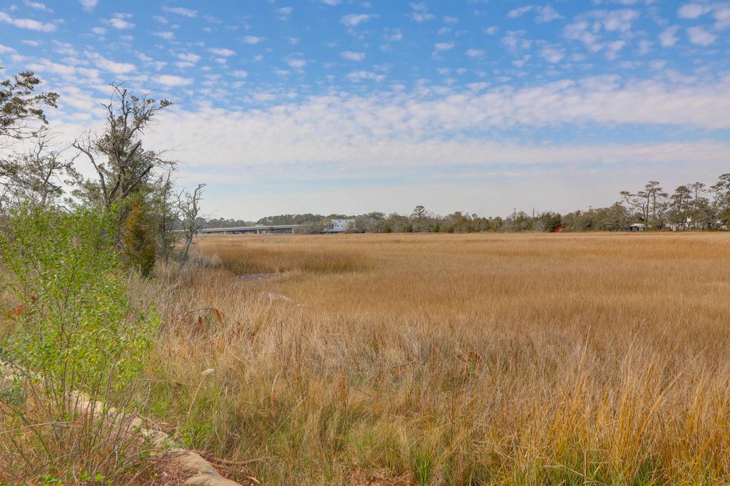 Photo of 670 Harbor Creek Place #35, Charleston, SC 29412 (MLS # 25026821)