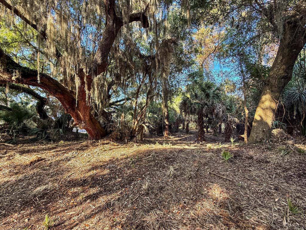 Photo of 3303 Fort Street, Edisto Island, SC 29438 (MLS # 26017314)