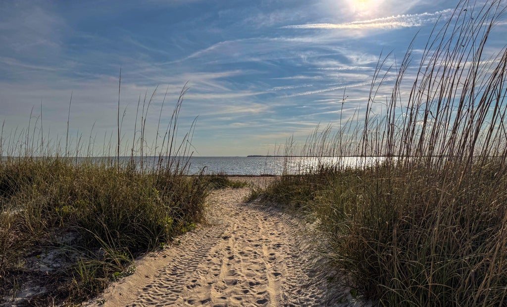 Photo of 3303 Fort Street, Edisto Island, SC 29438 (MLS # 26017314)