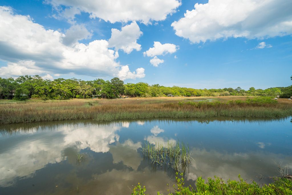 Photo of 1244 Cornwallis Drive, Charleston, SC 29412 (MLS # 26013803)
