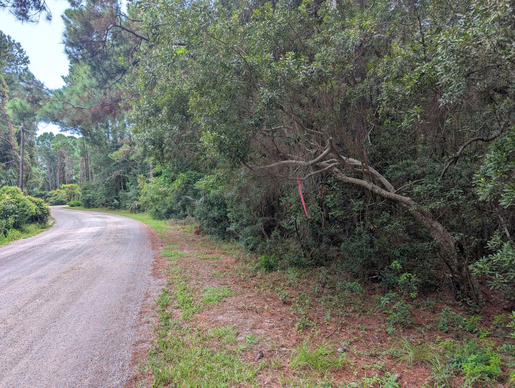 Photo of 6154 Rudder Lane, Awendaw, SC 29429 (MLS # 25023224)