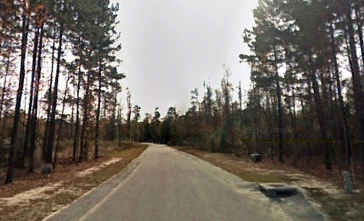 205 Mt Hope Drive