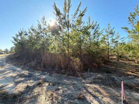 Bff Ii 8 Brunson Teal Rd Road Patrick SC 29584