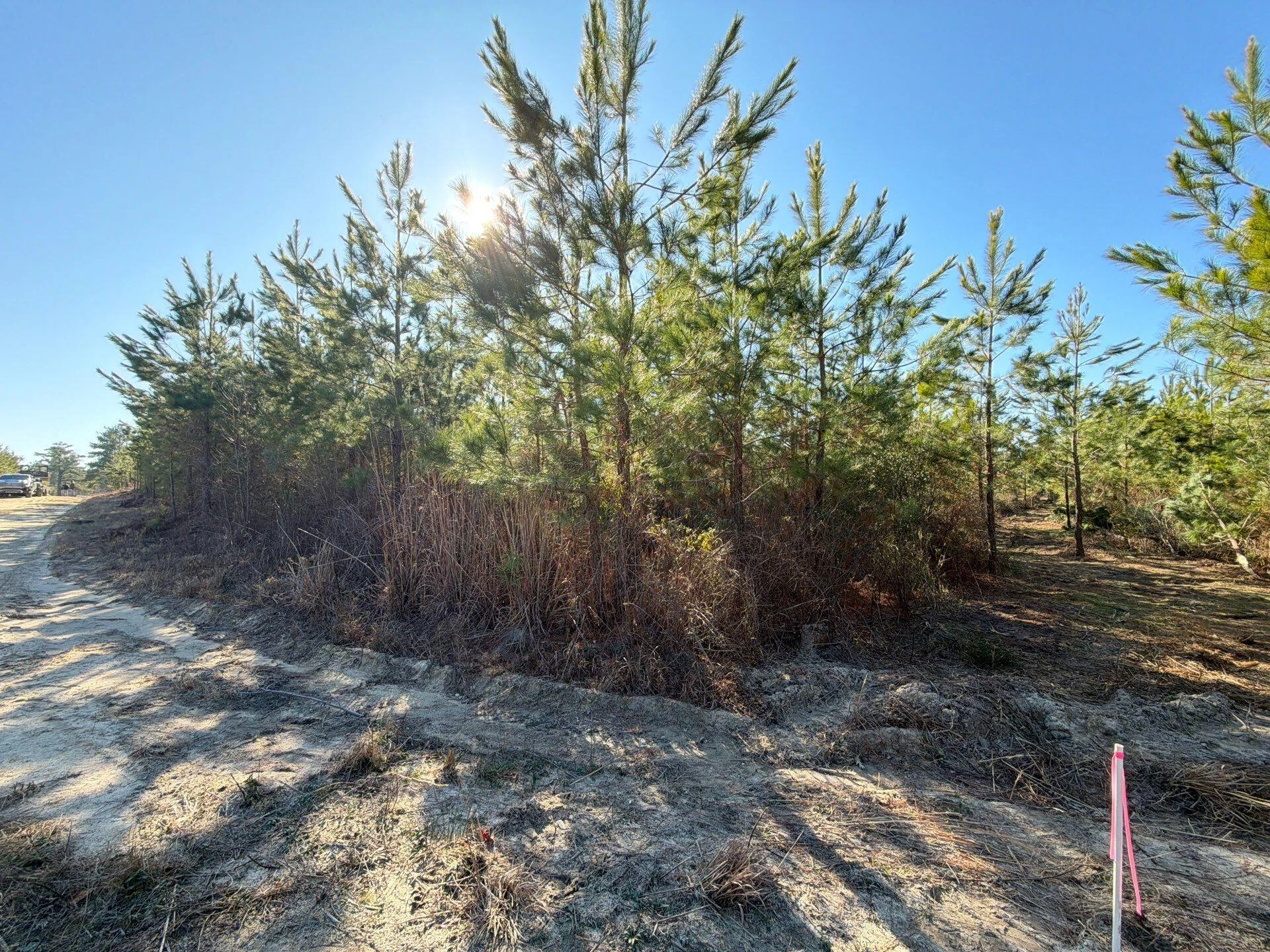 Bff Ii 8 Brunson Teal Rd Road, Patrick, SC, 29584