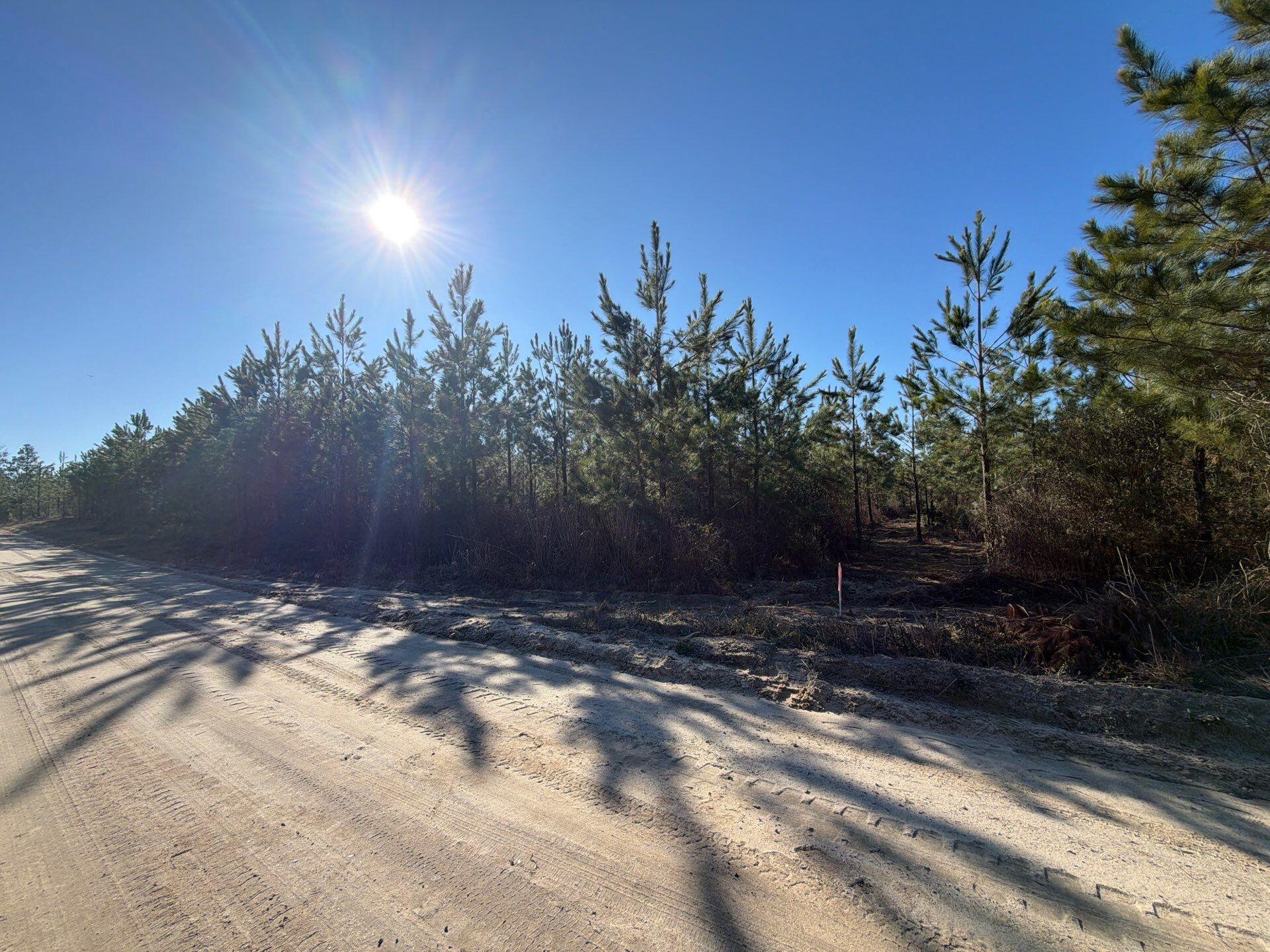 Bff Ii 8 Brunson Teal Rd Road