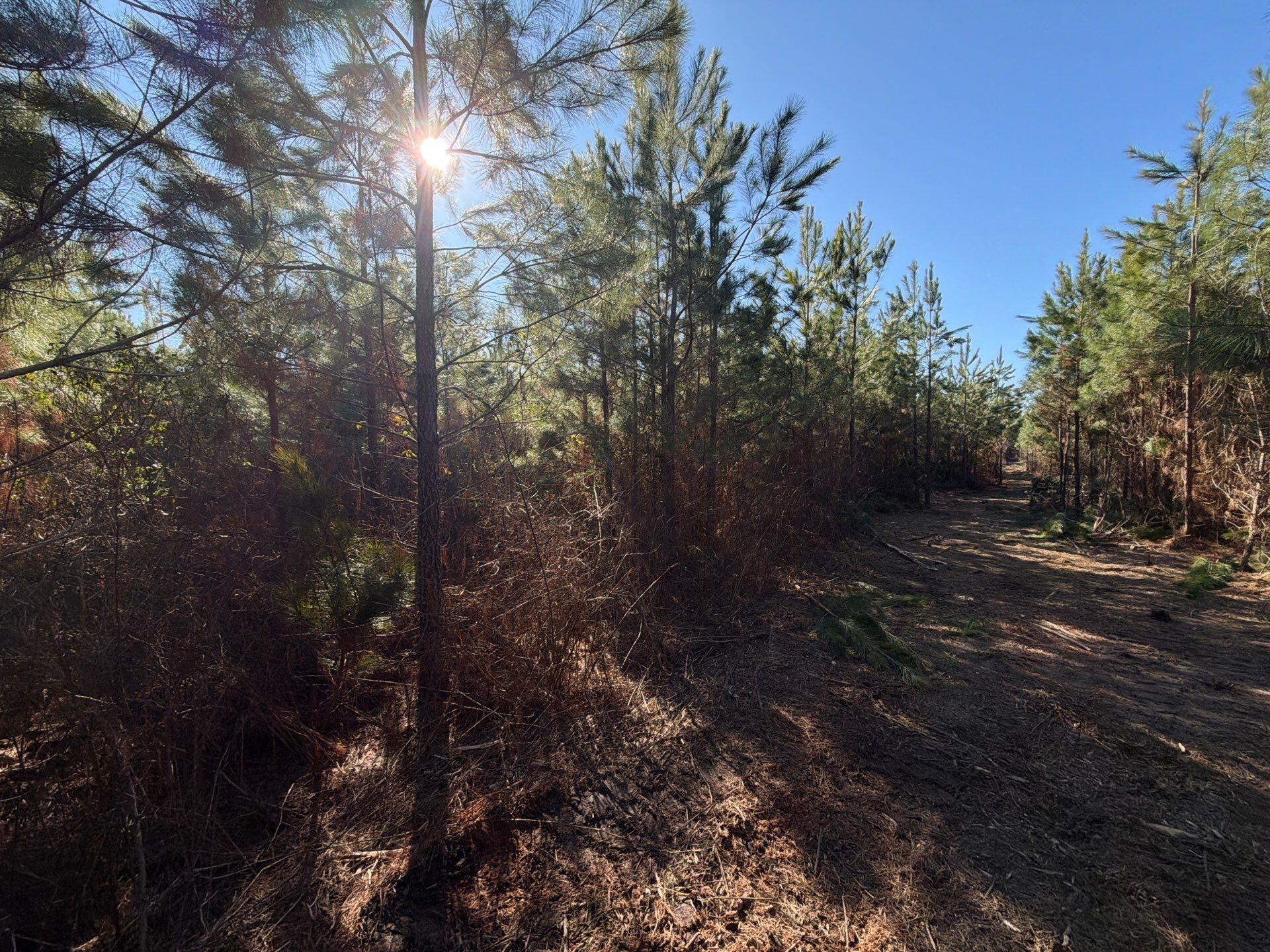 Bff Ii 8 Brunson Teal Rd Road