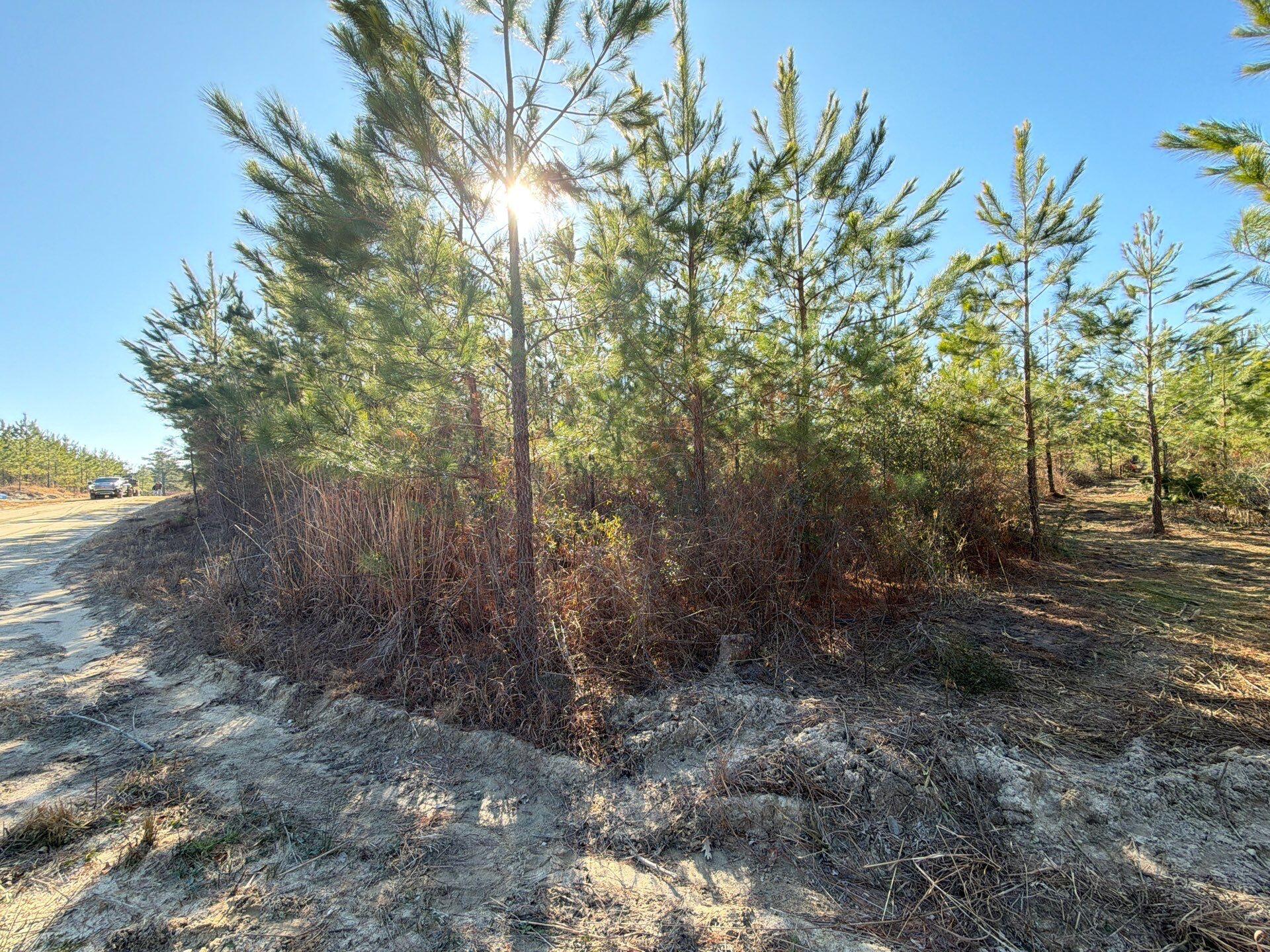 Bff Ii 8 Brunson Teal Rd Road