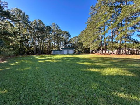 Photo of 1033 Gaddist Road, Ridgeville, SC 29472 (MLS # 25029381)