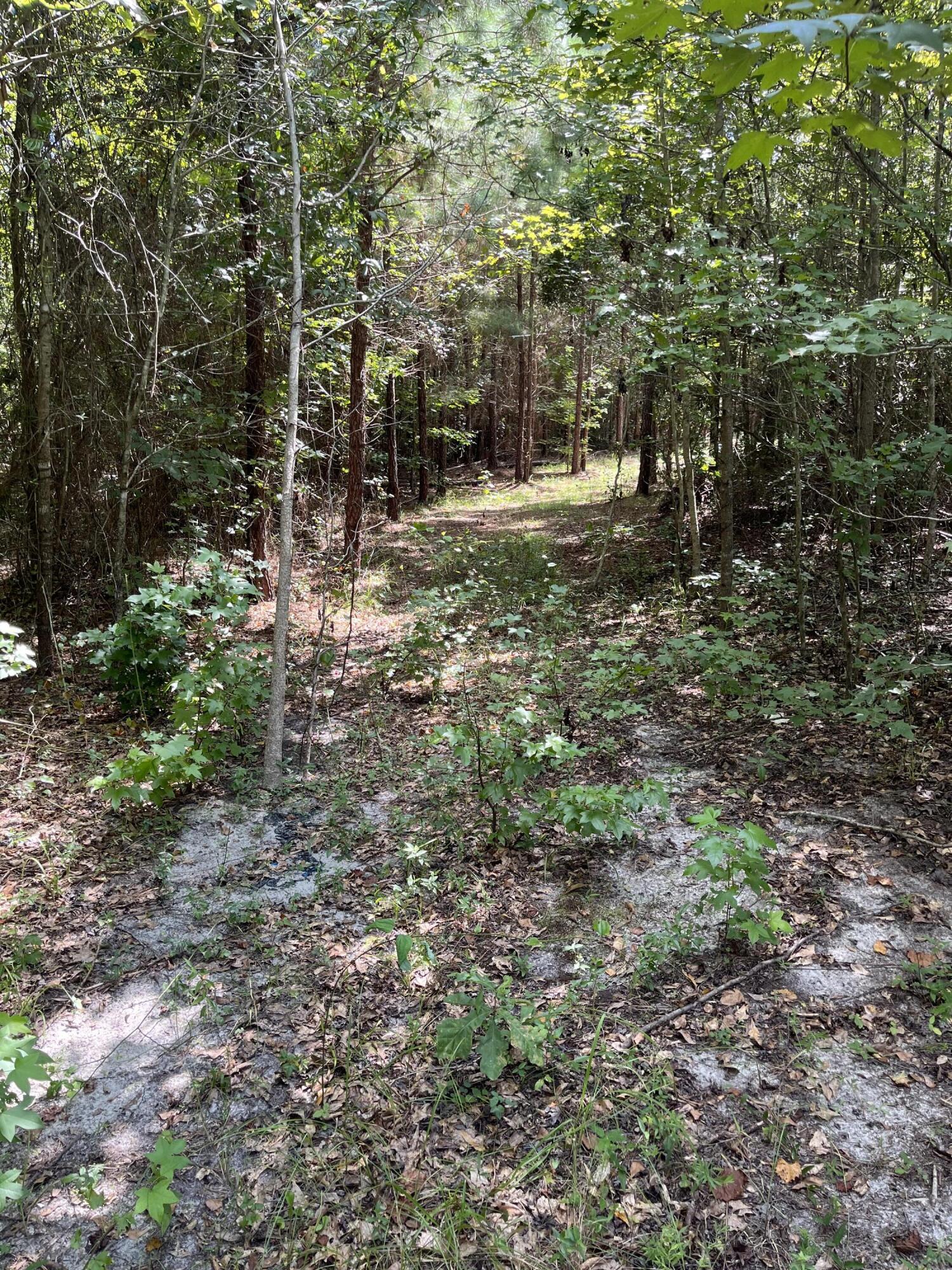00 Cherry Hill Road