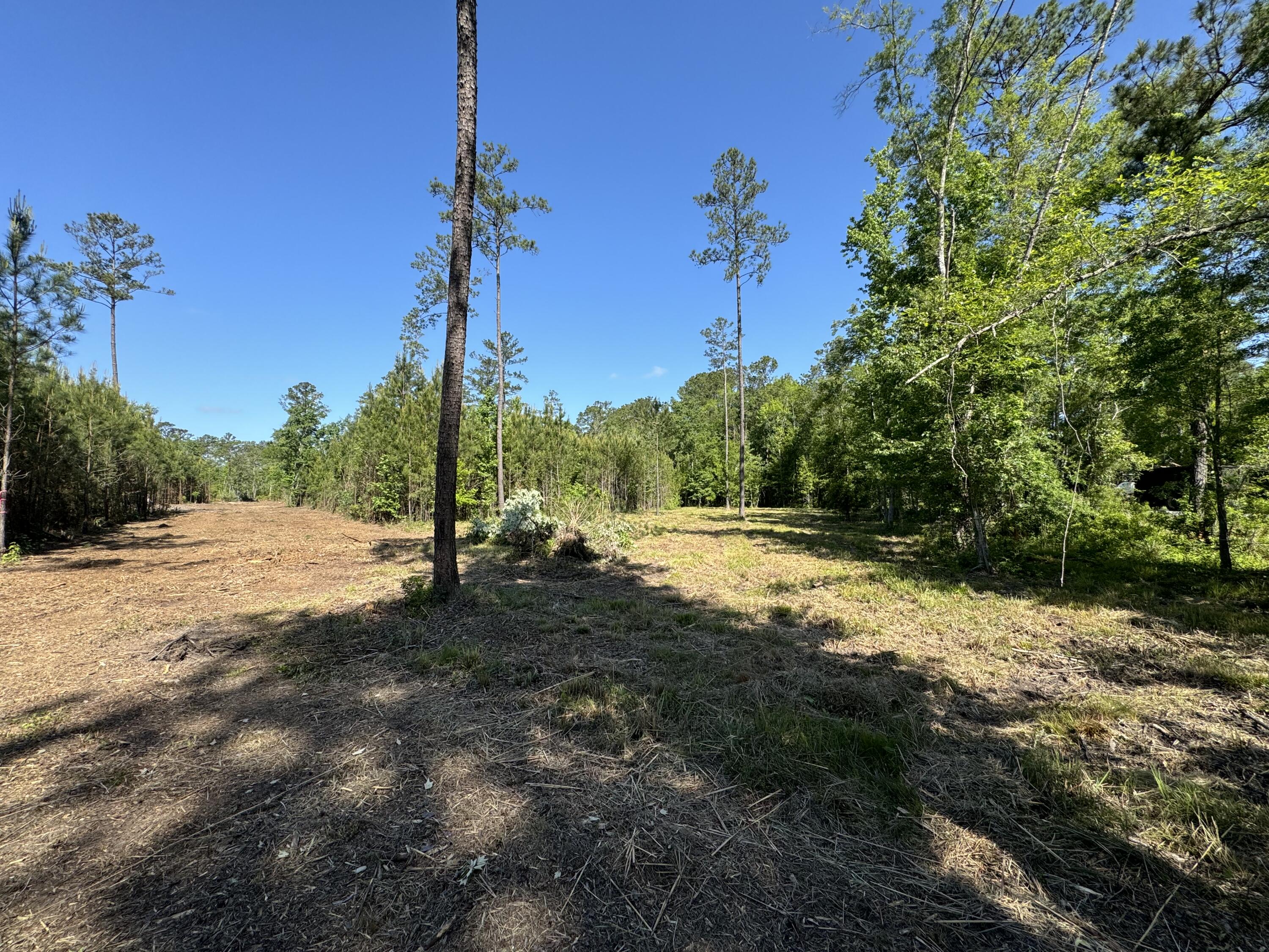 0 Old Dairy Rd Lot 1