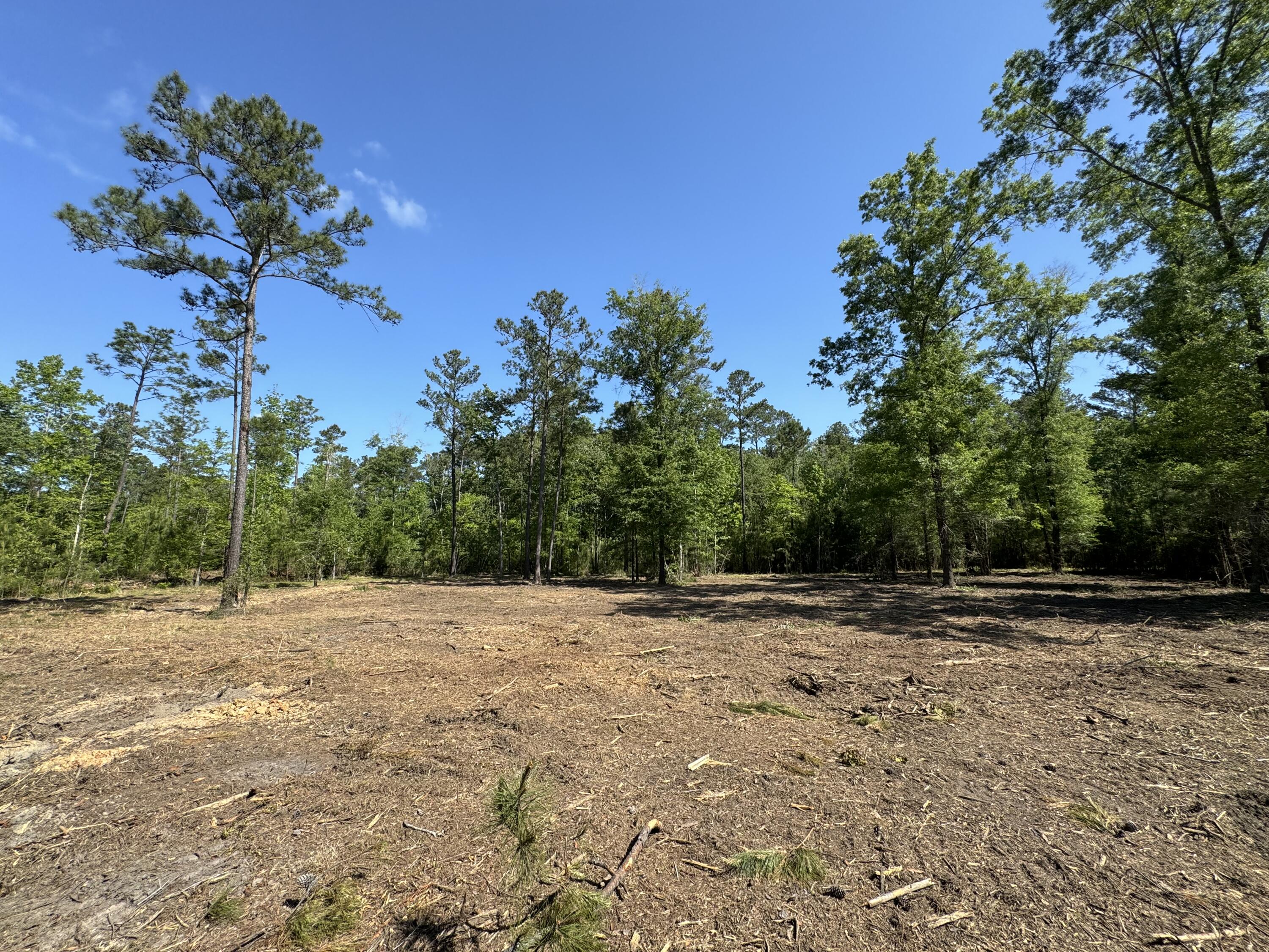 0 Old Dairy Rd Lot 1