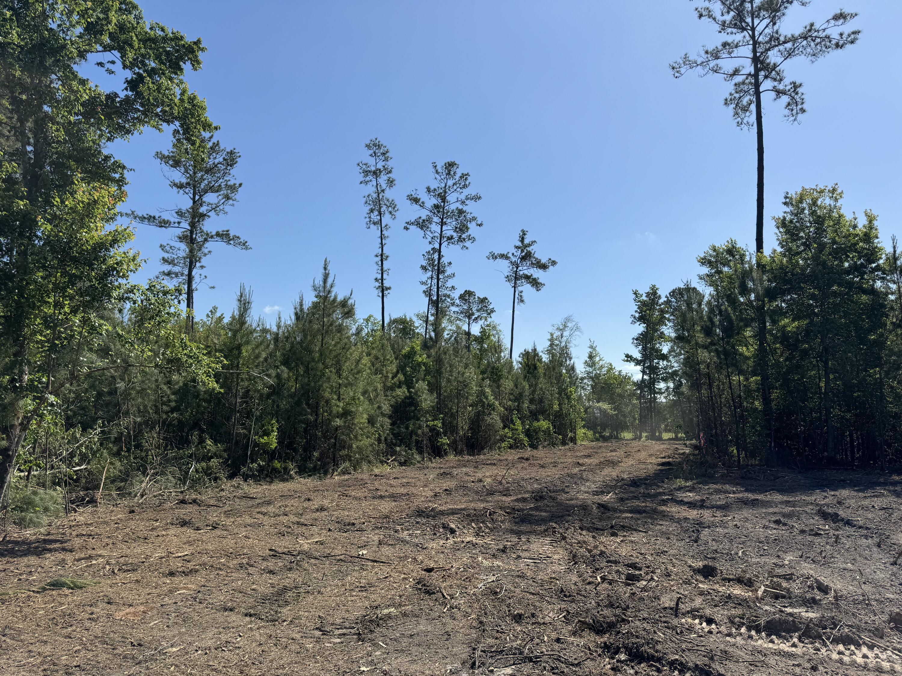 0 Old Dairy Rd Lot 1