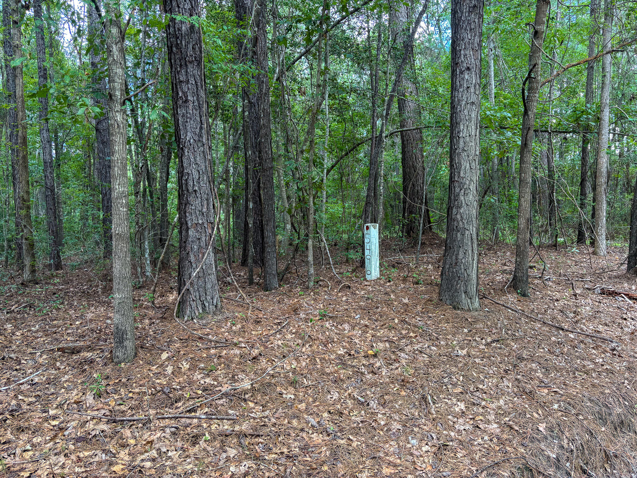 5496 Mauss Hill Road