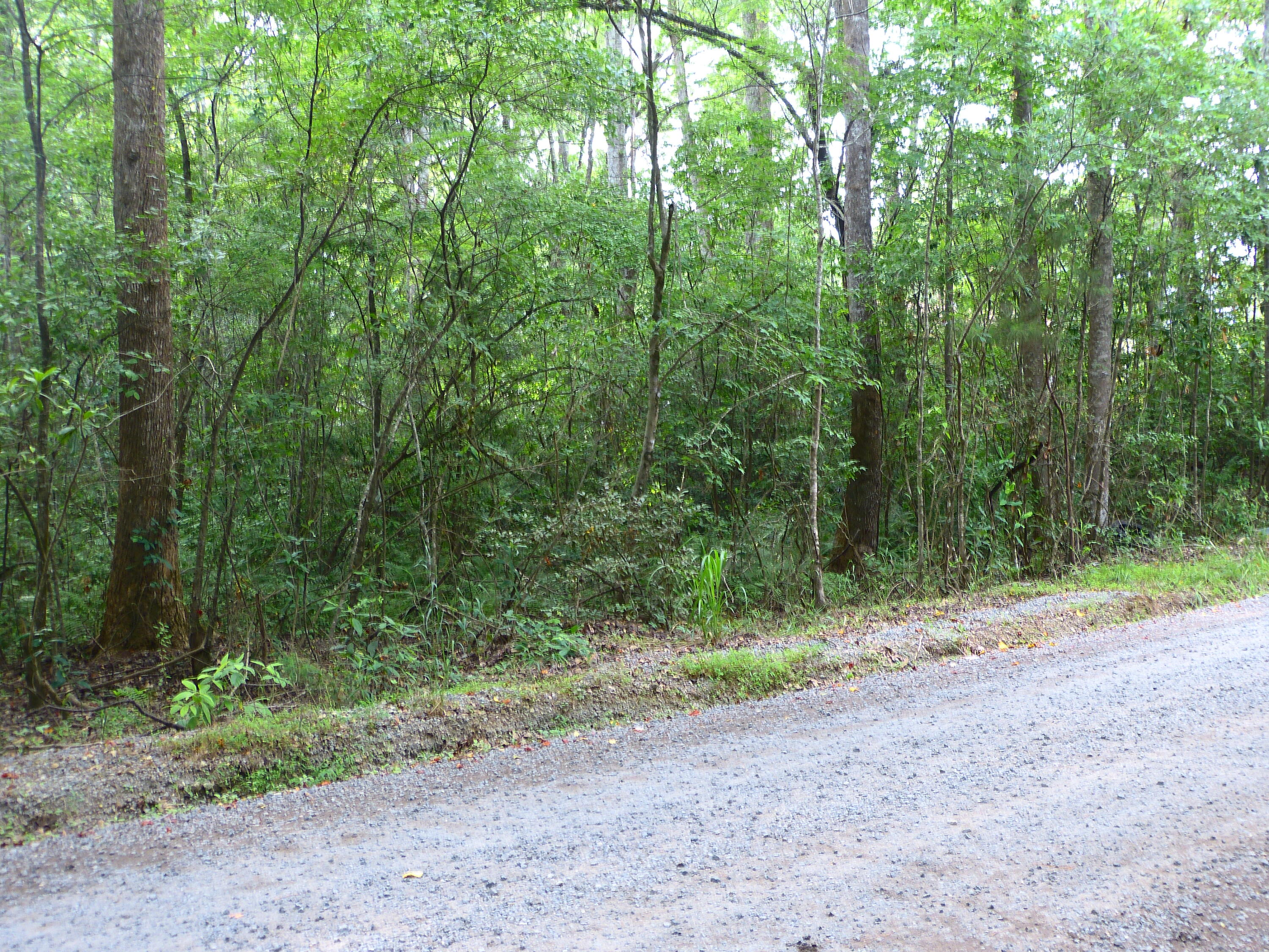 0 Branch Road