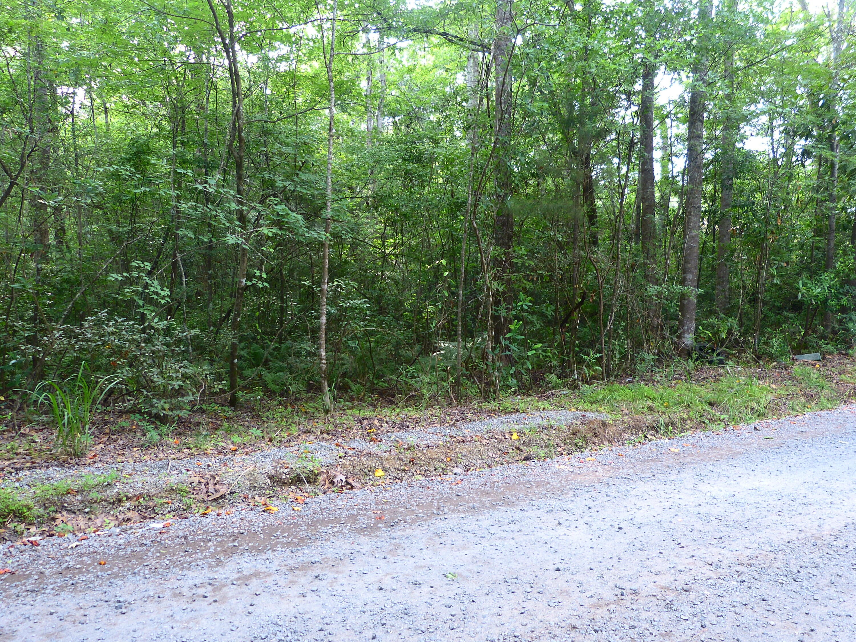 0 Branch Road
