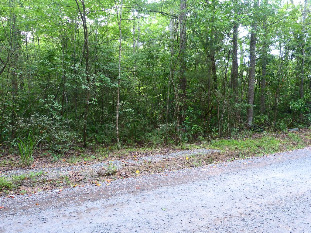 Photo of 0 Branch Road, Moncks Corner, SC 29461 (MLS # 26015756)