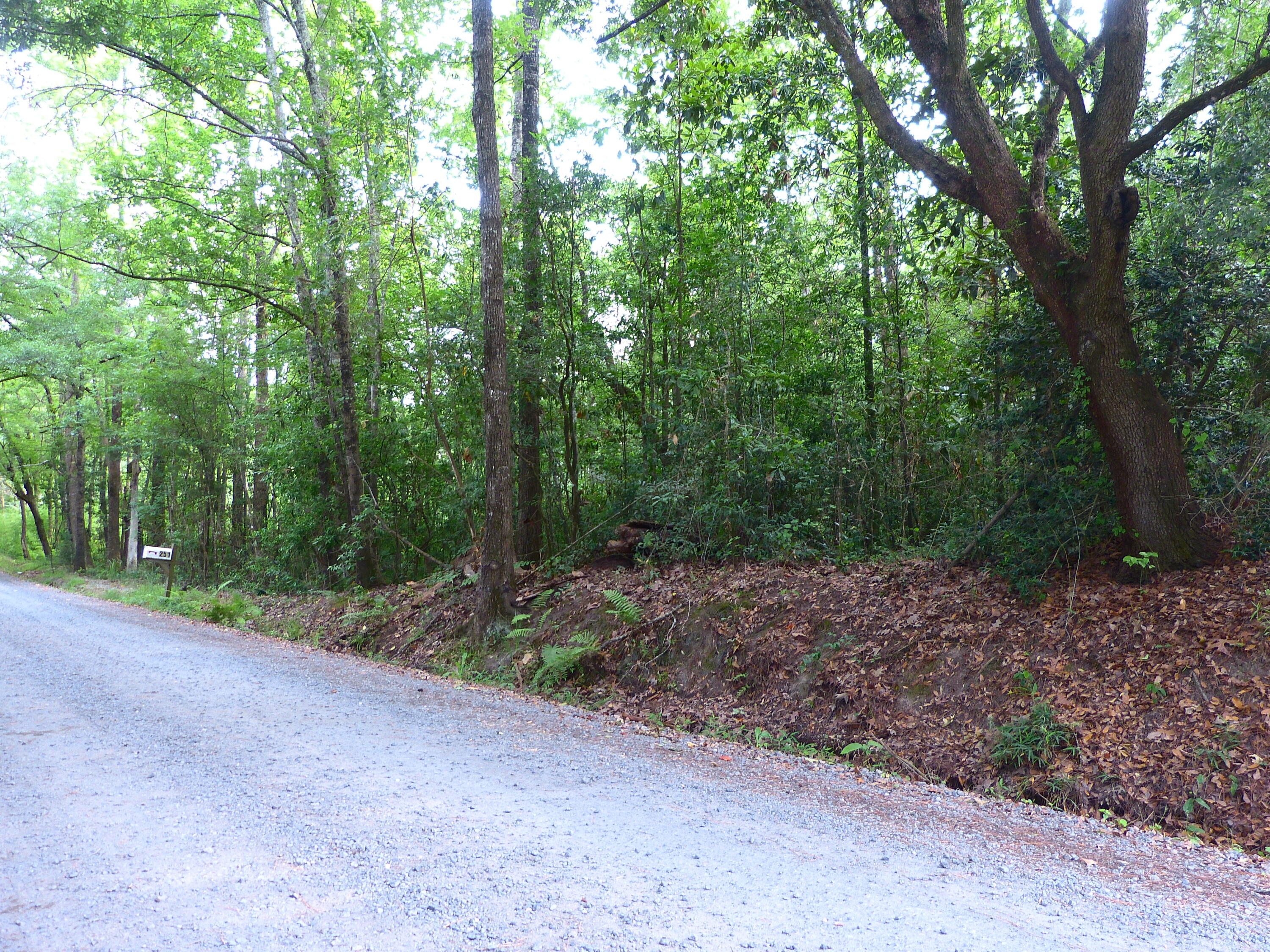 0 Branch Road