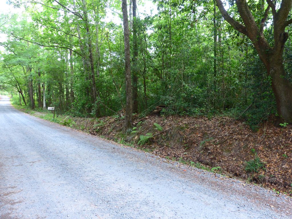 Photo of 0 Branch Road, Moncks Corner, SC 29461 (MLS # 26015756)