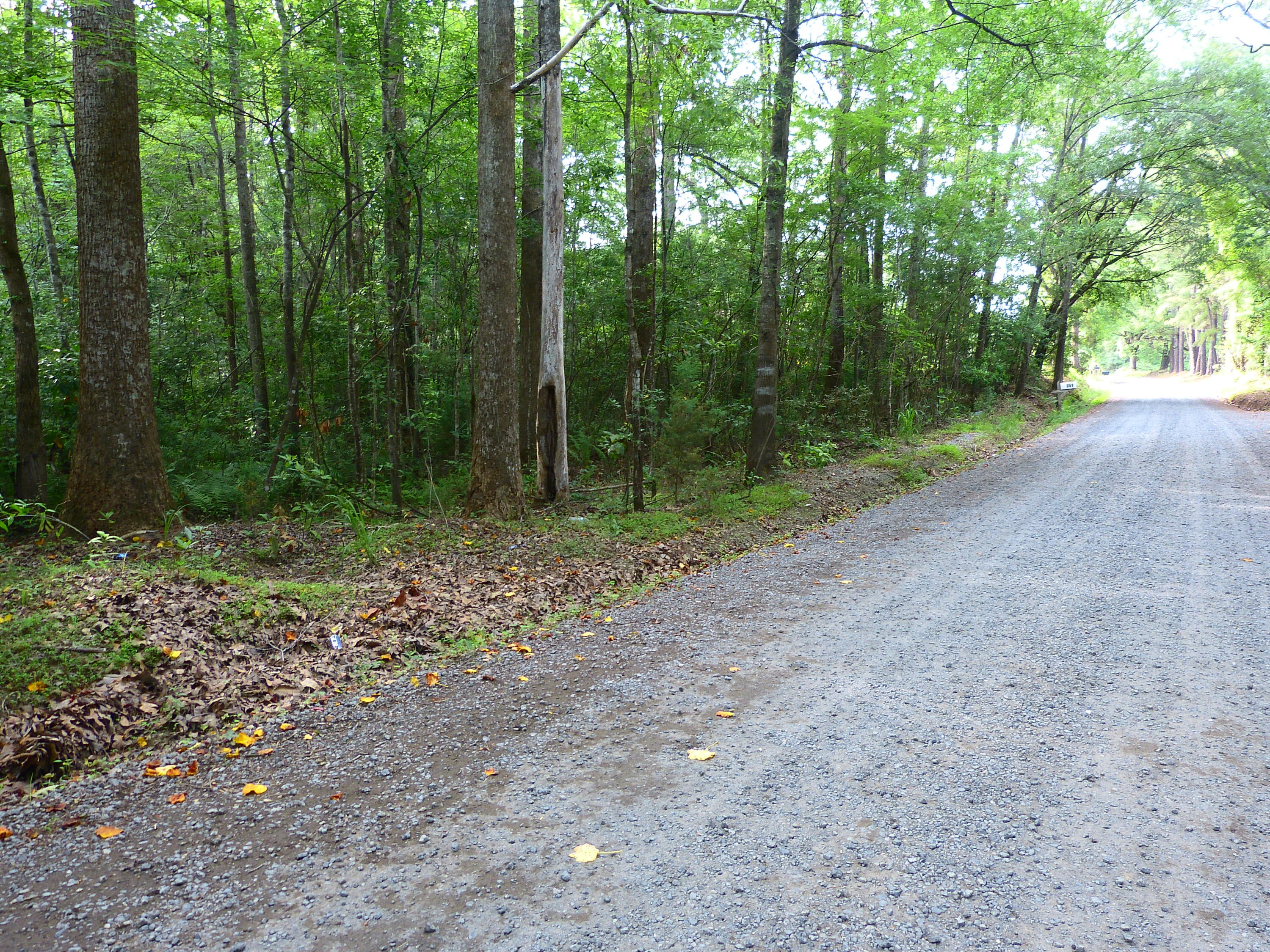 0 Branch Road