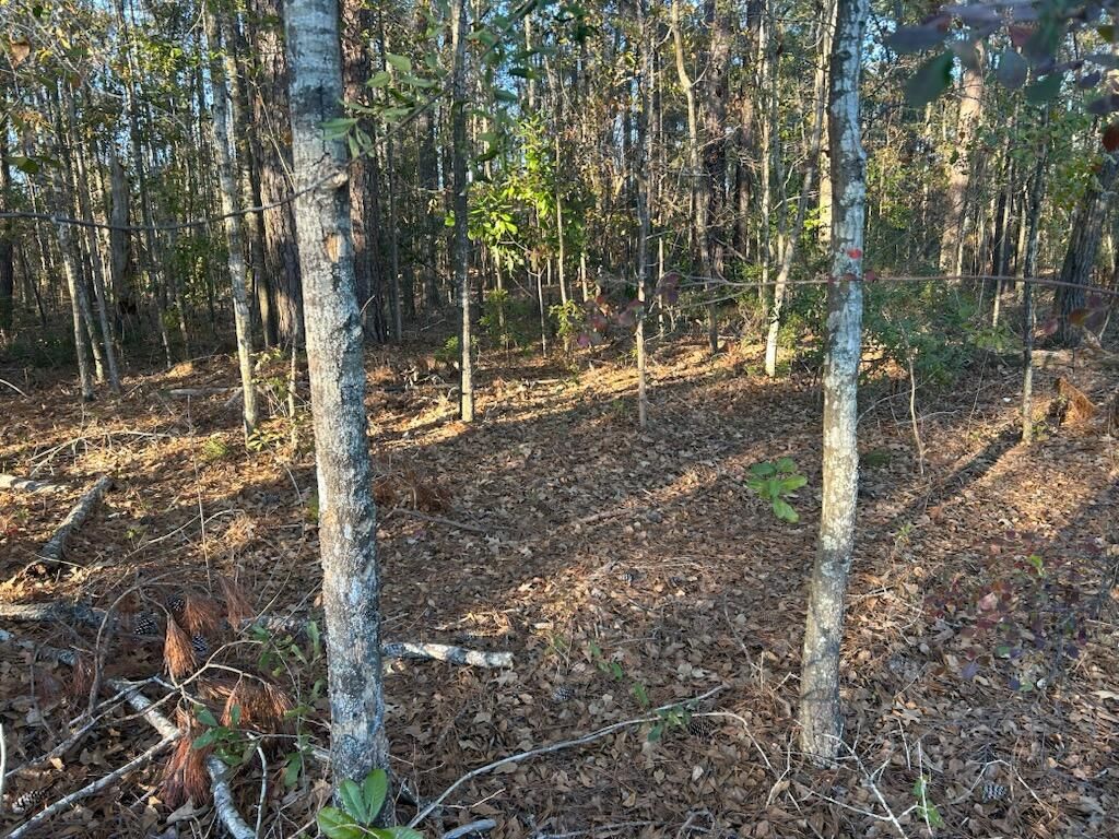 Photo of 5860 Martin Street, Ravenel, SC 29470 (MLS # 25000568)