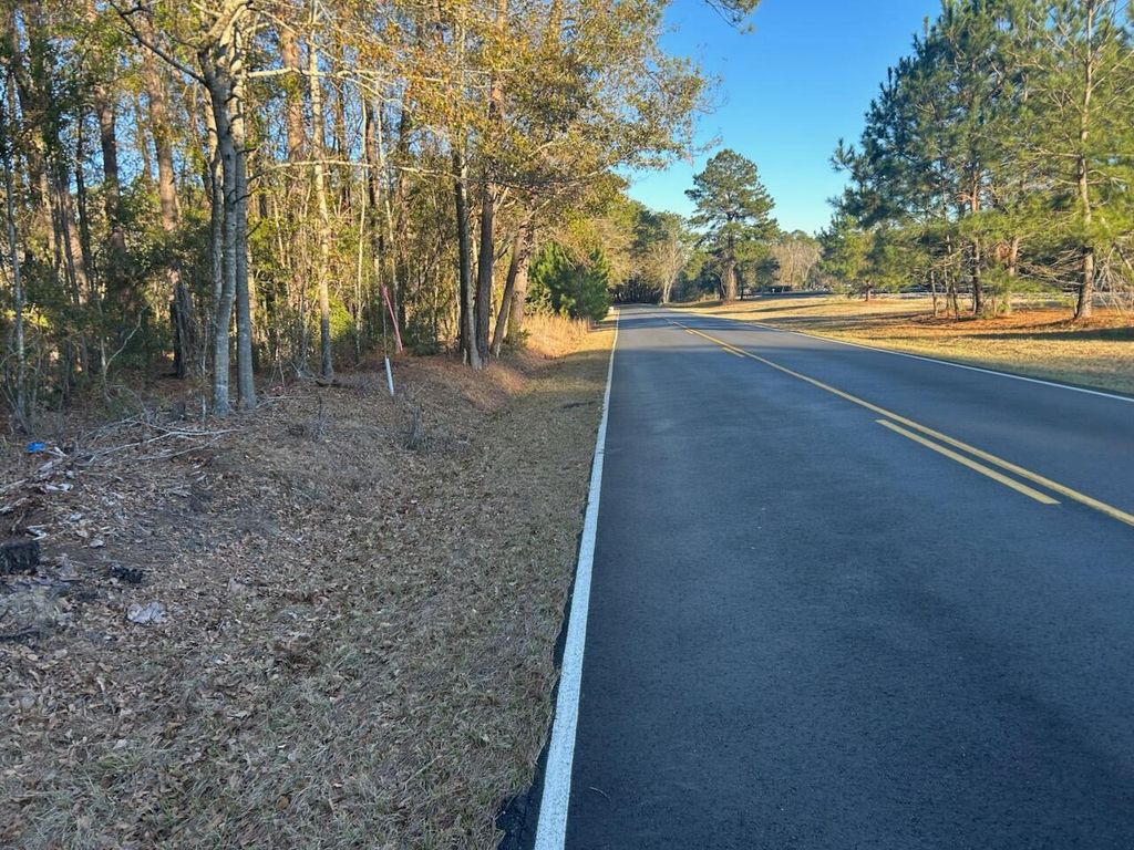 Photo of 5860 Martin Street, Ravenel, SC 29470 (MLS # 25000568)
