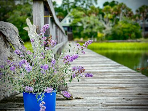 A home in Isle of Palms