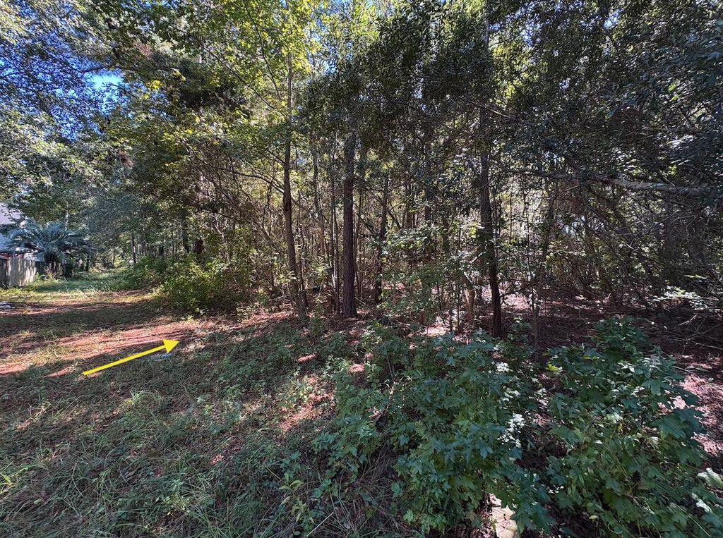 Photo of 000 Half Street, Summerville, SC 29483 (MLS # 25031093)