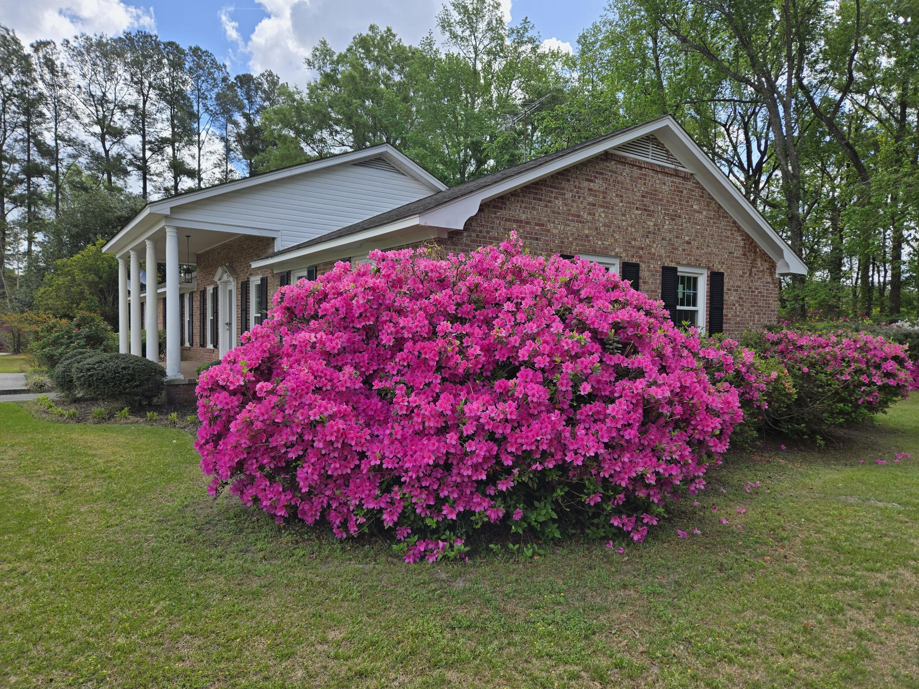 598 Maple Branch Road