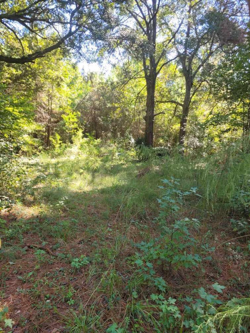 Photo of 2814 Highway 174, Edisto Island, SC 29438 (MLS # 25027728)