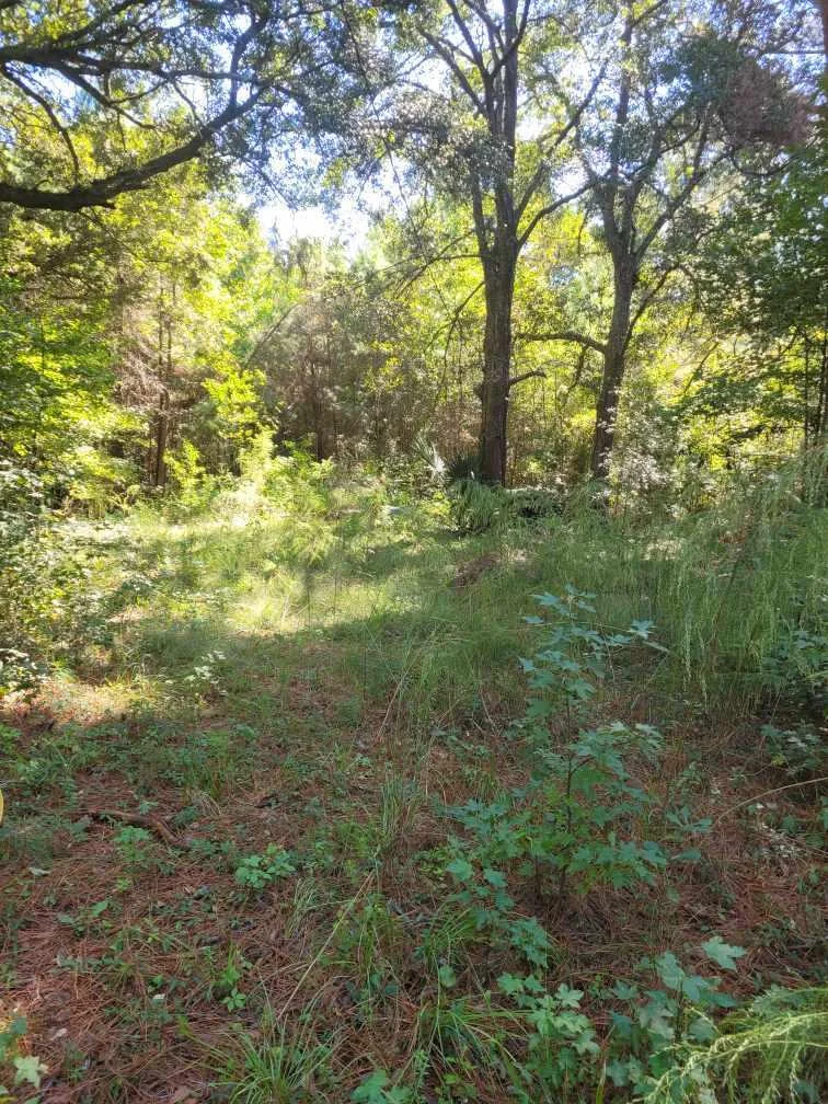2814 Highway 174