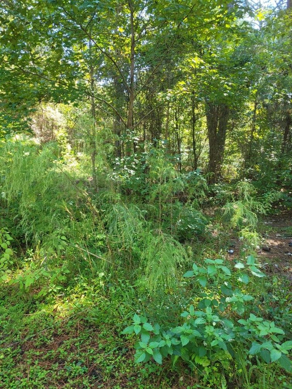 Photo of 2814 Highway 174, Edisto Island, SC 29438 (MLS # 25027728)