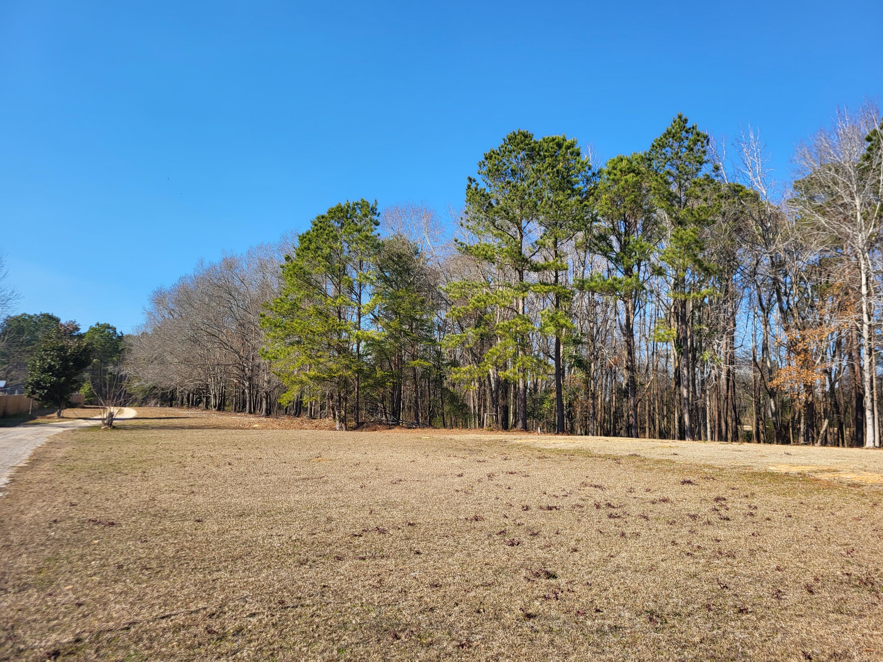 Lot 1 Santee Lumber Road