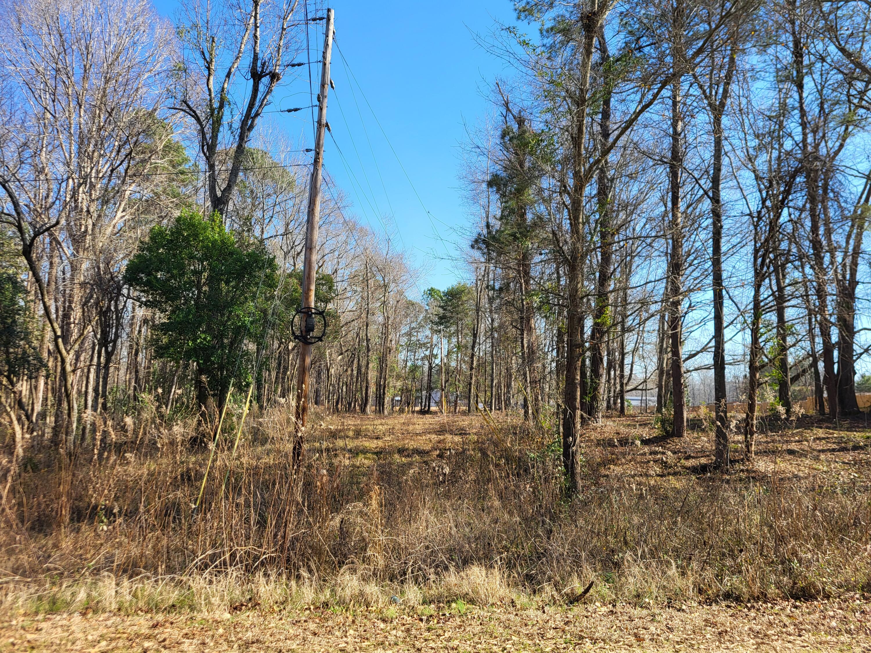 Lot 1 Santee Lumber Road